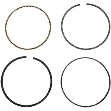Kit de segments DUCAR - 056618