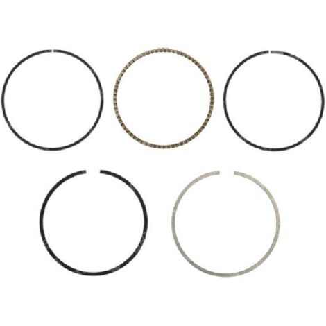 Kit de segments HARRY - 058616