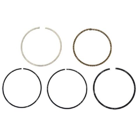 Kit de segments MAORI - 054730