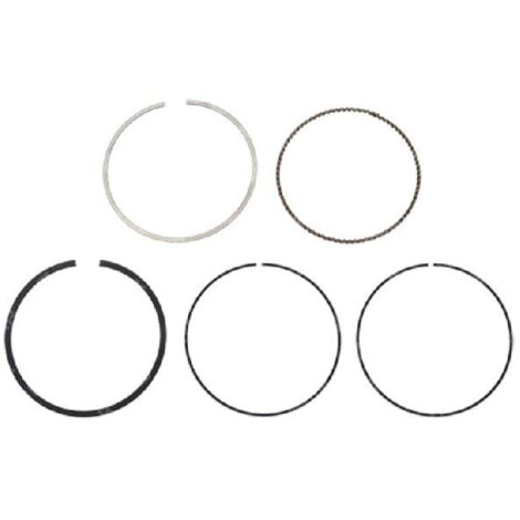 Kit de segments MAORI - 054755