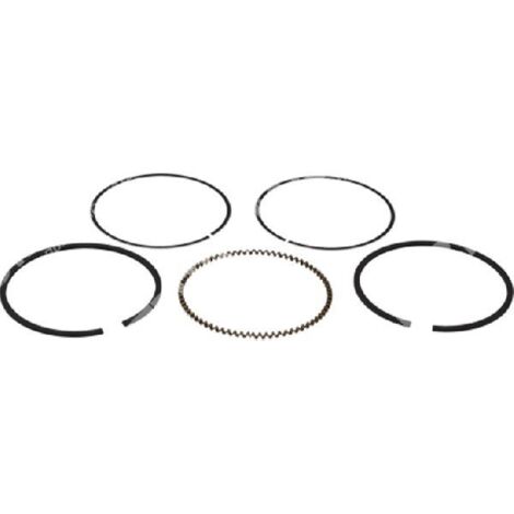 Kit de segments PROGREEN 70 mm - 050811