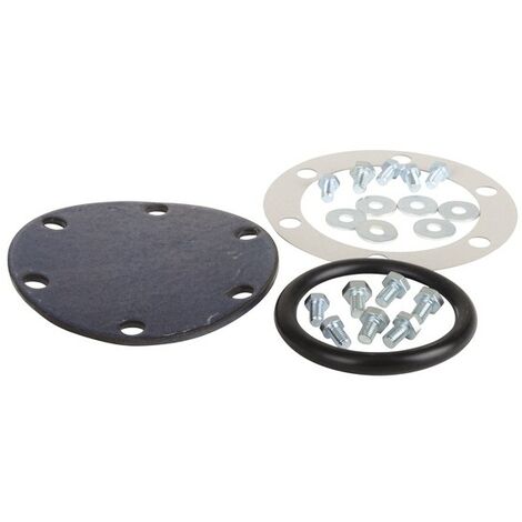 Kit de servicio de limpieza - AOSMITH : 0301125(S)