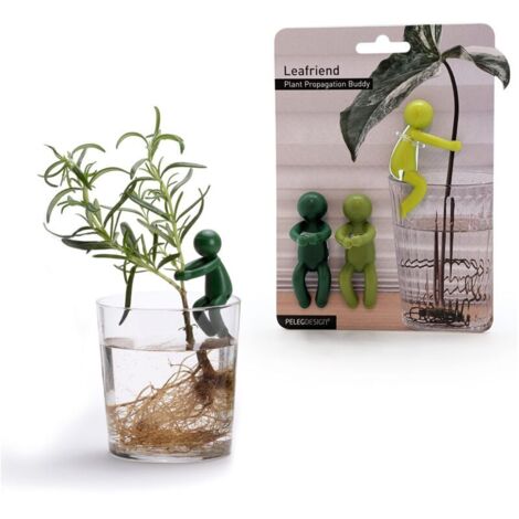Kit de Soutien pour Plantes, Tuteur Jardin Intérieur, Support Plantes et Tuteur pour Monstera, Idée Cadeau (Lot de 3)