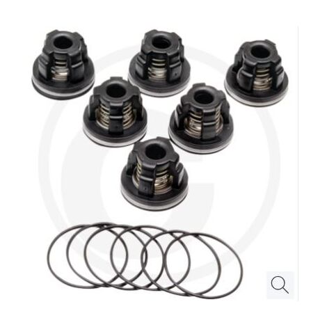 Kit de válvula tórica para bomba de diafragma AR45 bp C azul flex ANNOVI 67042524