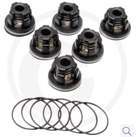 Kit de vanne à joint torique pour pompe à membrane AR115 ANNOVI 6702370
