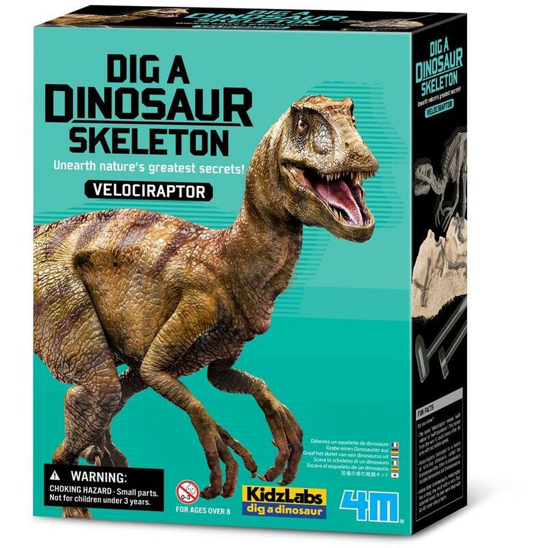 

Kit del Esqueleto Velociraptor - 4M