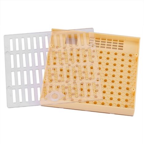 Kit d'élevage de cellules royales pour système cupulare - Outils apicoles - AquaForge