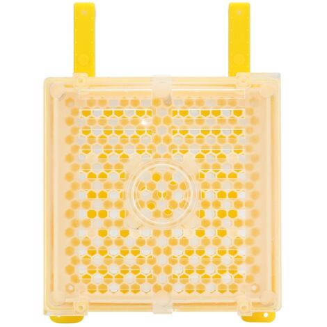 Kit d'Elevage de Reines pour Apiculture - Ensemble Plastique de Cage de Maternité, Marqueur et Accessoires Professionnels