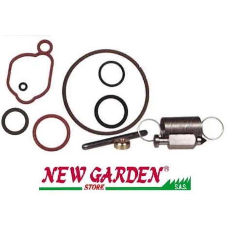 Kit d'entretien pour tondeuse OHV série 500 550 BRIGGS & STRATTON 222049 590589