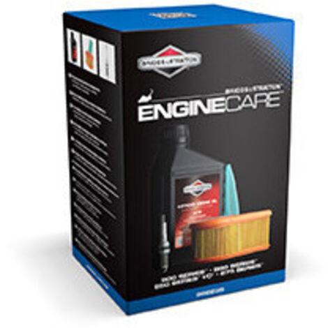 Kit D'entretien Pour Tondeuses Avec Moteurs Briggs & Stratton Séries 800e, 850, 850i/c, 875. Composé D'un Bidon D'huile De 0,6 L