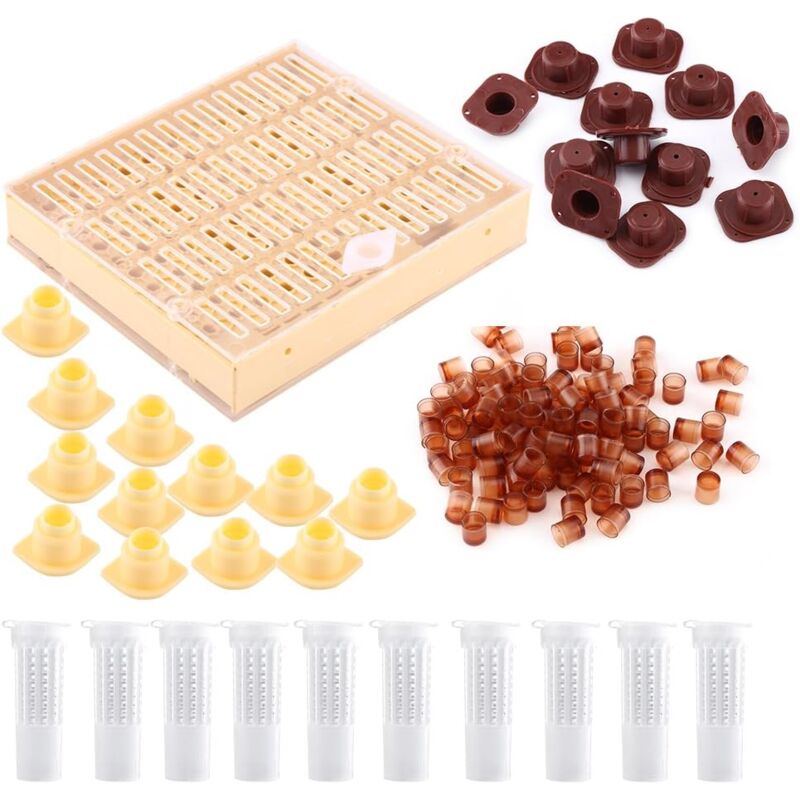 Kit d'équipement essentiel pour l'apiculture Reine Apiculture Production Apicole Gelée Royale