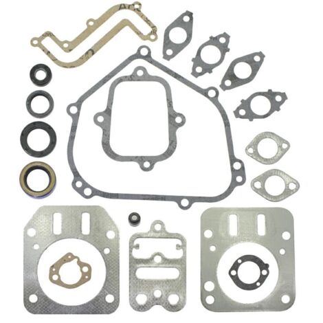 Kit d'étanchéité pour tracteur de pelouse BRIGGS&STRATTON OHV 791797