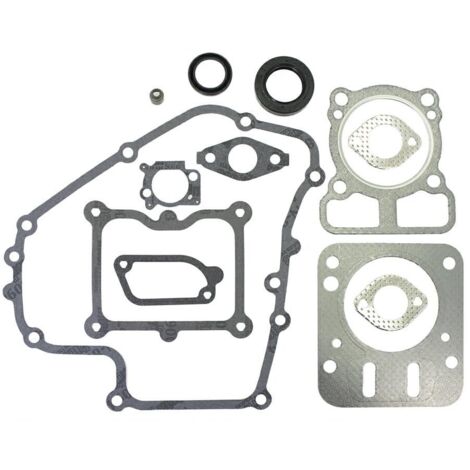 Kit d'étanchéité pour tracteur de pelouse DOV 090600 BRIGGS&STRATTON 793623