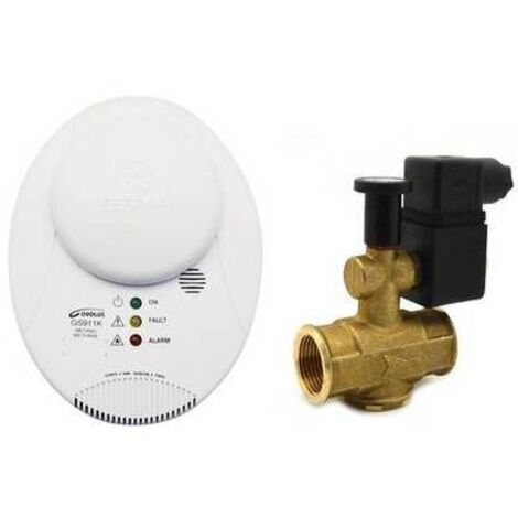 Kit détecteur de méthane mod. 040190 + ev na 3/4 » mod. 042301