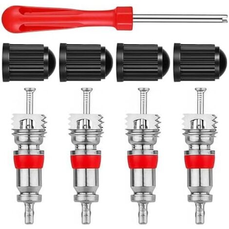 kit d'extracteur de Noyau vanne avec 4 Embouts vanne, métal et Plastique, clé d'automobile, Tournevis Outil Valve Pneu pour Voiture, vélo, Motocyclette, Camion -