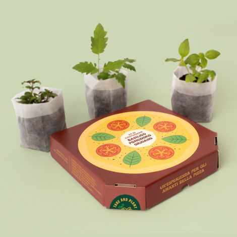 KIT DI COLTIVAZIONE PIZZA