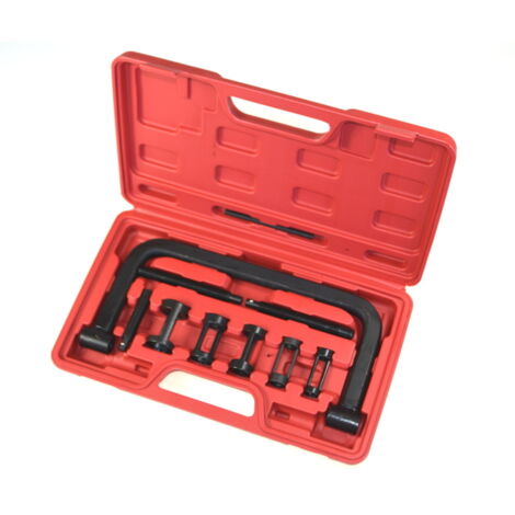 KIT DI RIMOZIONE VALVOLA ARGENTO