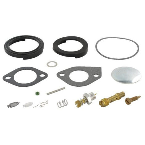 Kit di riparazione carburatore Briggs e Stratton - 394698