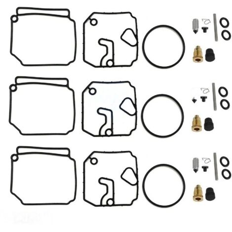 Kit di riparazione per carburatore compatibile con motore marino Yamaha – Componenti di precisione, tenuta ottimizzata, installazione facile.-lsw