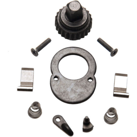 Kit di riparazione per chiave dinamometrica con cricchetto da 1/4".