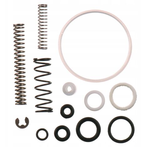 KIT DI RIPARAZIONE PER PARTI DI PISTOLA A SPRUZZO AGO UGELLO O-RING