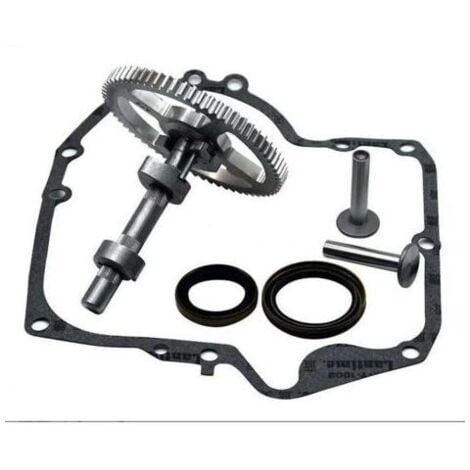 MUMU Kit di sostituzione dell'albero a camme Briggs & Stratton 793880 793583 792681 791942 795102 YMYNY
