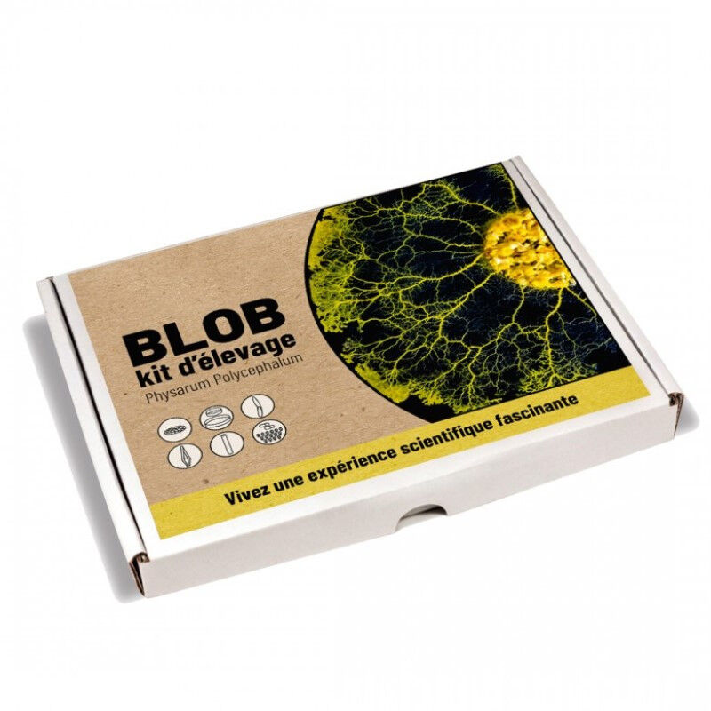 Jeu éducatif Naturalys Coffret élevage de blob