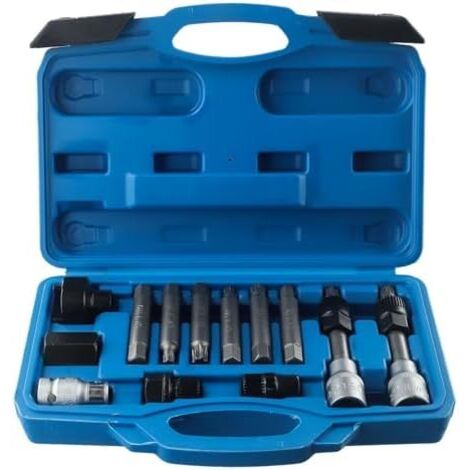 Kit d'outils de démontage poulie roue libre d'alternateur, kit professionnel réparation moteur automobile avec douilles M8/M10/T40/T50 et étui rangement -