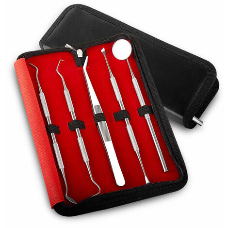 Kit d'outils de nettoyage des dents, dissolvant de plaque de tartre pour les dents ensemble de 5 pièces