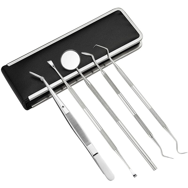Linghhang - Kit D'Outils Dentaires En Acier Inoxydable 5 Pieces Pour Les Dentistes, Ensemble De Grattoirs a Dents Pour Un Usage Personnel Et