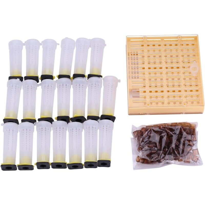 Kit d'outils pour l'apiculture, outils pour l'apiculture, ruches en plastique + couvercles de gobelets cellulaires, fournitures d'équipement pour