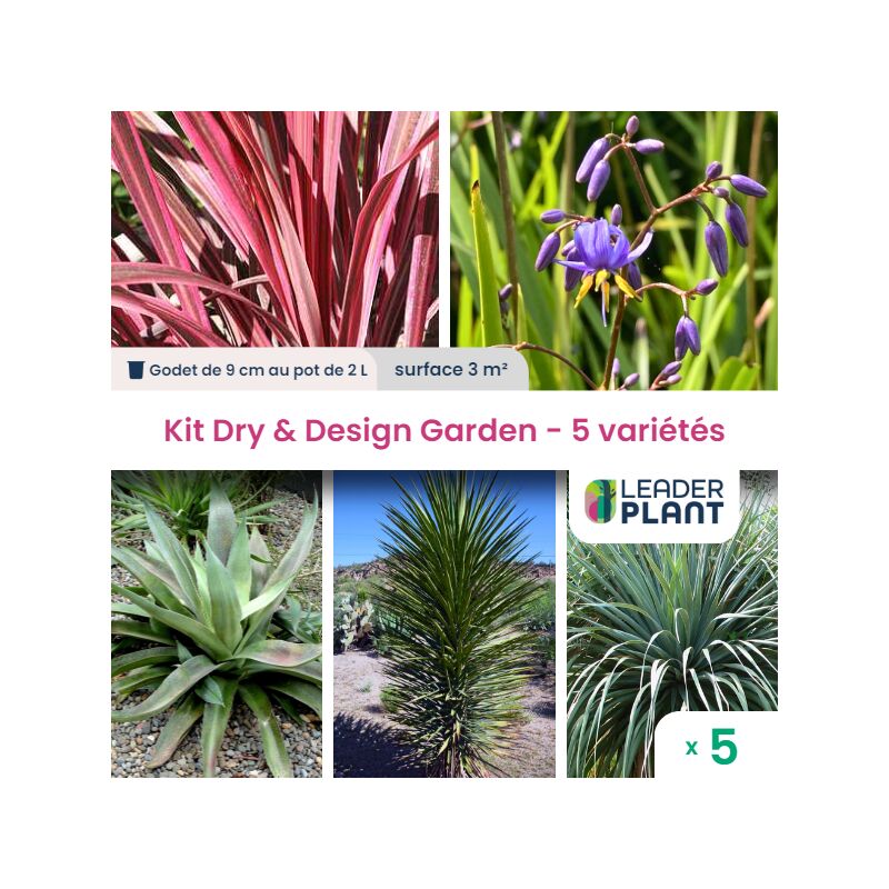 Kit Dry & Design Garden - Lot de 5 plants pour une surface de 3m²