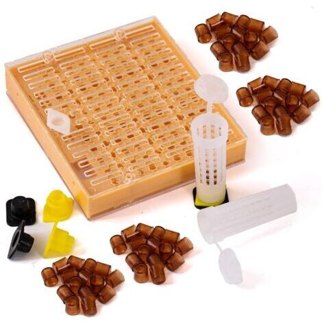 Kit elevage commplet Reines avec système Nicot pour Apiculture Outils d'élevage Reine des Abeilles
