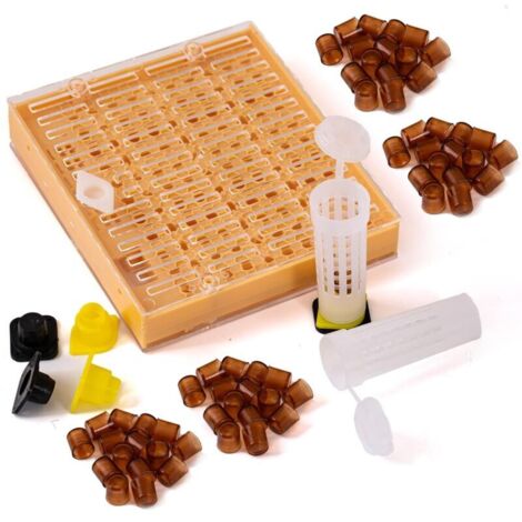 Kit elevage commplet Reines avec système Nicot pour Apiculture Outils d'élevage Reine des Abeilles