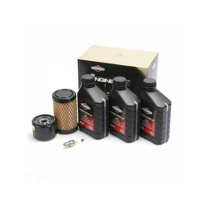 Briggs&stratton - Kit entretien origine pour moteur modèles 31, 31R7, 31R8, 31R9 et séries 4 intek i/c ohv