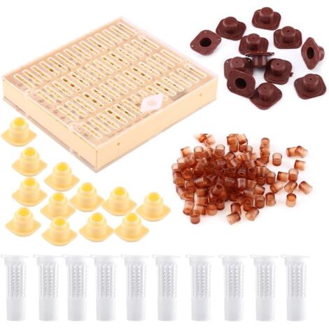 Kit essenziale per l'apicoltura Apicoltura regina Produzione apistica Pappa reale