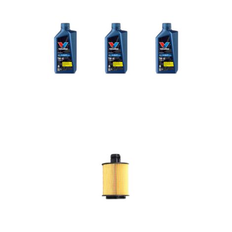 Kit filtro olio e 3L compatibile con Fiat Panda III 1.3 JTD 55kw dal 2012