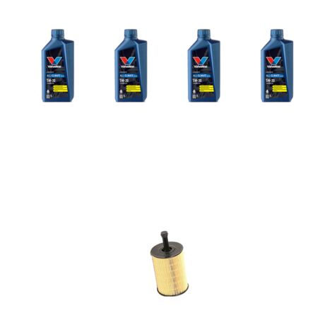 Kit filtro olio e 4L compatibile con Audi A3 II (8P1,8PA) 1.9 tdi 77kw dal 2003 al 2009