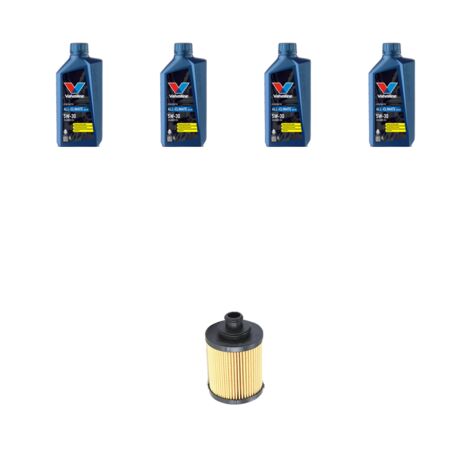 Kit filtro olio e 4L compatibile con Fiat Punto EVO 1.3 D Multijet 51kw dal 2009