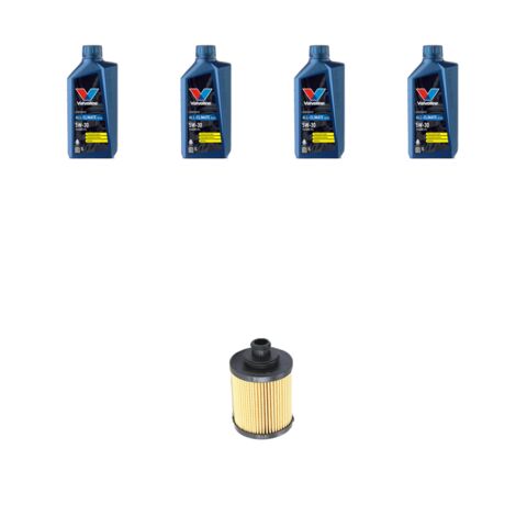 Kit filtro olio e 4L compatibile con Fiat Punto EVO 1.3 D Multijet 55kw dal 2009 al 2012