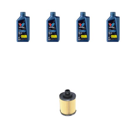 Kit filtro olio e 4L compatibile con Fiat Punto EVO 1.3 D Multijet 66kw dal 2009 al 2012