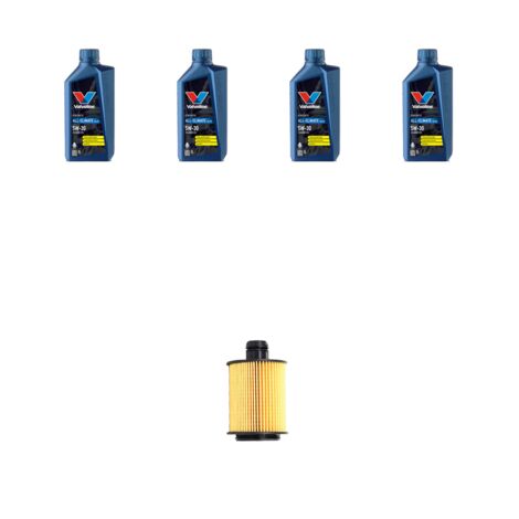 Kit filtro olio e 4L compatibile con Fiat Punto EVO 1.3 D Multijet 70kw dal 2009 al 2012