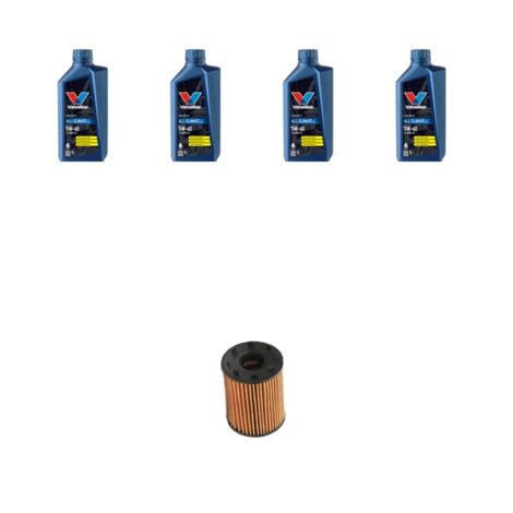 Kit filtro olio e 4L compatibile con Fiat Punto Evo 1.4 16v 99kw dal 2009 al 2012