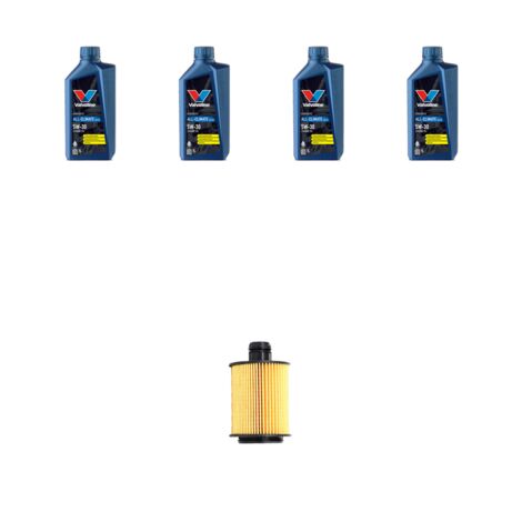 Kit filtro olio e 4L compatibile con Fiat Punto III 1.3 D 62kw dal 2012
