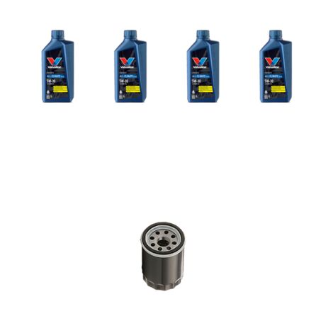 Kit filtro olio e 4L compatibile con Ford Fiesta V 1.6 16v 74kw dal 2002