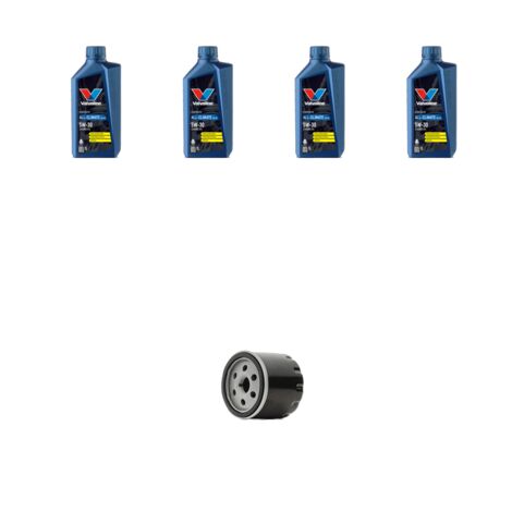 Kit filtro olio e 4L compatibile con Ford Fiesta VI 1.25 44kw dal 2008