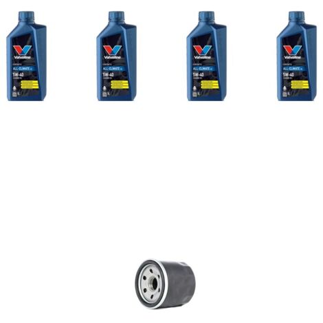 Kit filtro olio e 4L compatibile con Renault Modus / Grand Modus 1.2 16v TCE 74kw Dal 2006