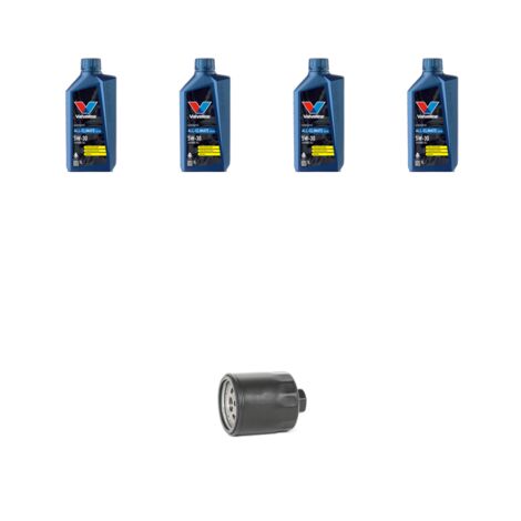 Kit filtro olio e 4L compatibile con Seat Ibiza II 1.4 16v 74kw Dal 1999