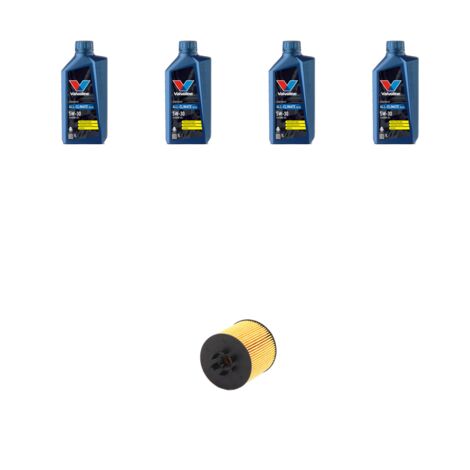 Kit filtro olio e 4L compatibile con Seat Ibiza III 1.6 16v 77kw dal 2006 al 2009