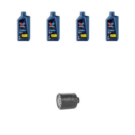 Kit filtro olio e 4L compatibile con Seat Ibiza IV 1.4 16v 63kw dal 2008